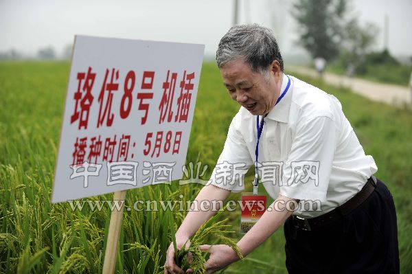 點擊放大