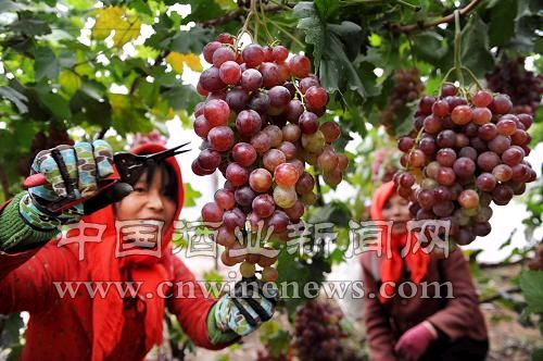 點擊放大