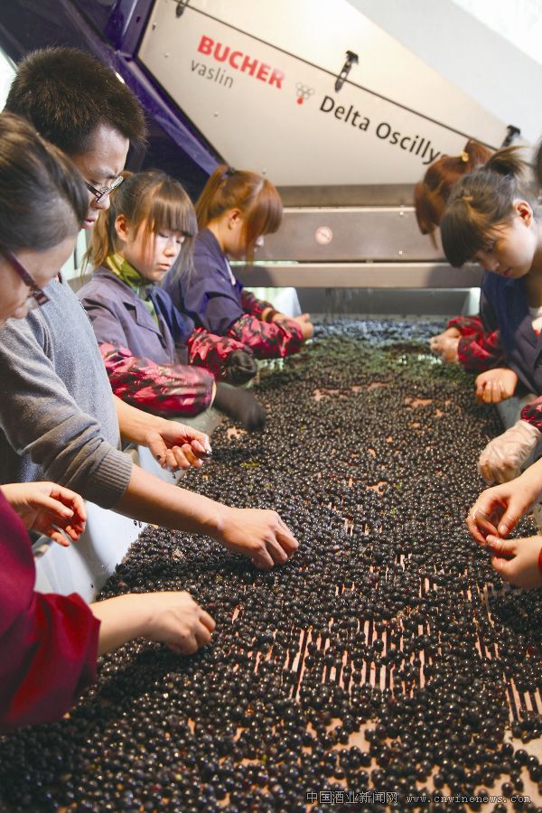 點(diǎn)擊放大