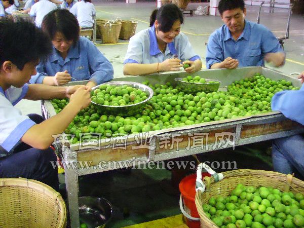 點擊放大