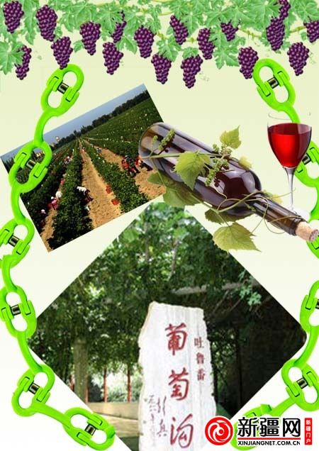 （制圖：張衛政）