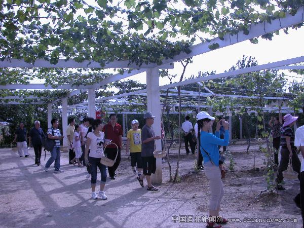 點擊放大