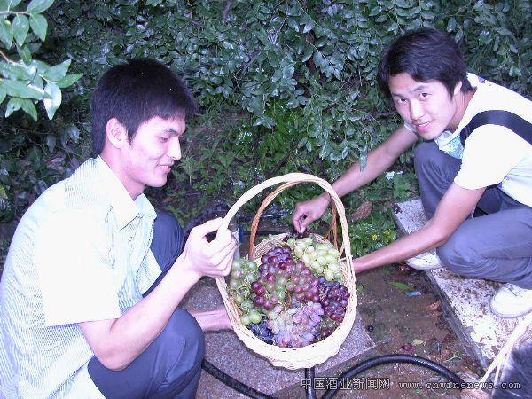 點擊放大