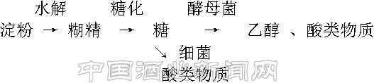 點擊放大