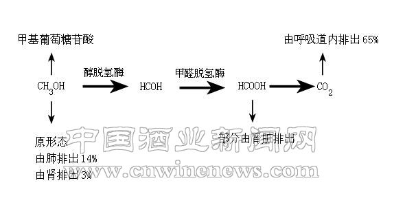 點擊放大