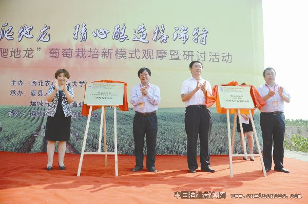 點擊放大