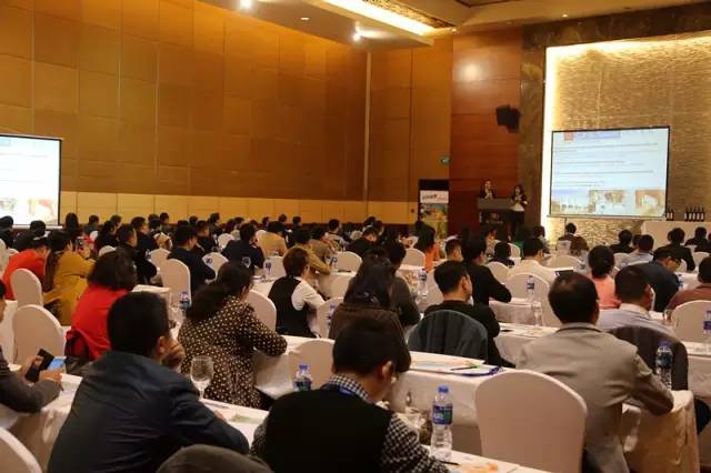 2016法國南部的新年推廣計劃公布