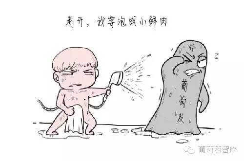 萬萬沒想到，葡萄酒的顏色還藏著那么多秘密