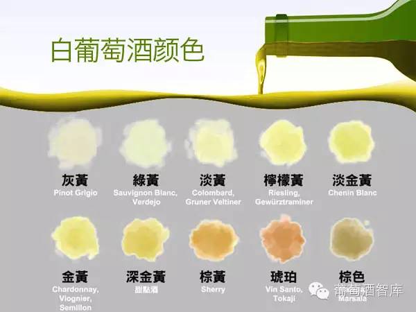萬萬沒想到，葡萄酒的顏色還藏著那么多秘密