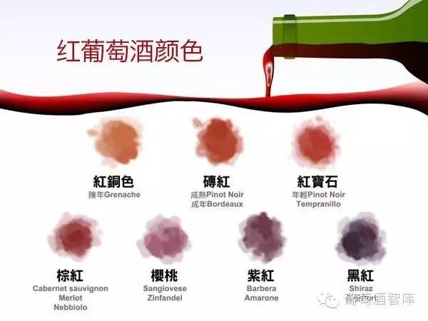 萬萬沒想到，葡萄酒的顏色還藏著那么多秘密