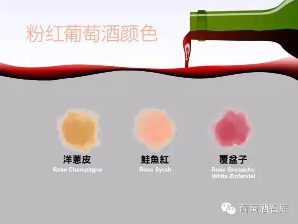 萬萬沒想到，葡萄酒的顏色還藏著那么多秘密